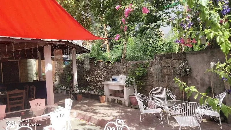 Fish & Co UP Town Center